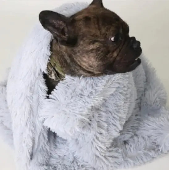 Comfy Pet Blankets