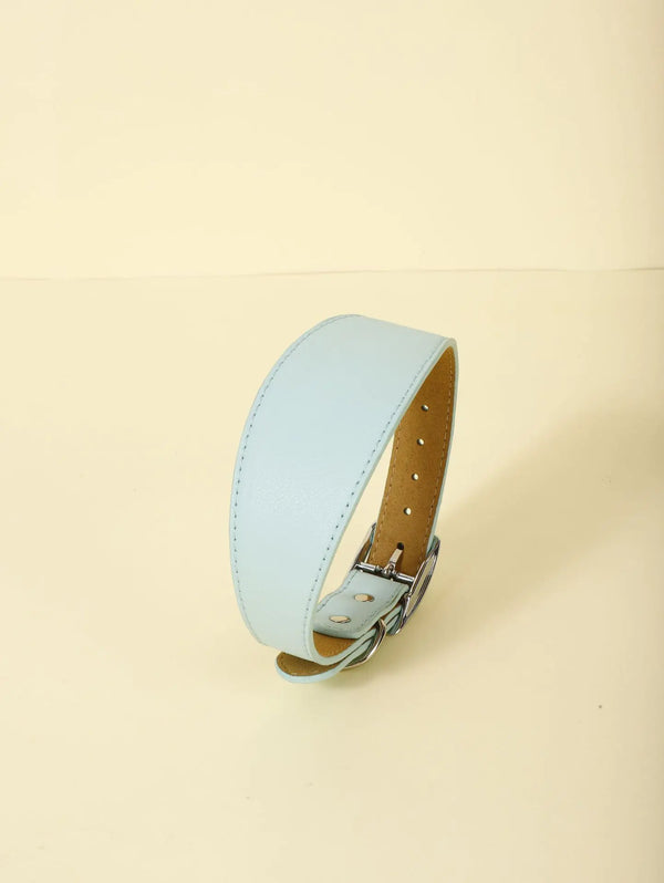 Urbanloot Adjustable Casual Collar for Pets
