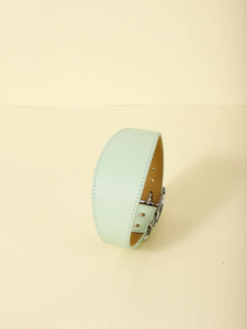 Urbanloot Adjustable Casual Collar for Pets